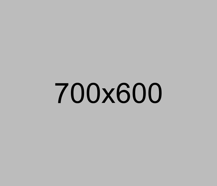 Women's Clothing
